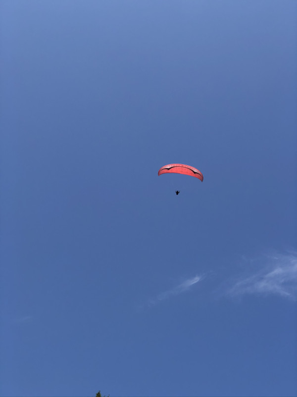 33e540f3813352dfbae0c73d179af40b_1597545305_336.JPEG