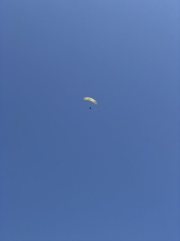 33e540f3813352dfbae0c73d179af40b_1597545415_8186.JPEG